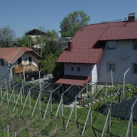 Bizeljsko Apartment House Sumrak מראה חיצוני תמונה